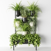 Rack for indoor plants
