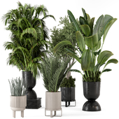 Indoor Plants in Ferm Living Bau Pot Large - Set 871