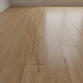 Laminate. Parquet. 2