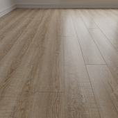 Laminate. Parquet. 5