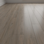 Laminate. Parquet. 16