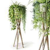 Cache-pot on 5 legs with ampelous plants