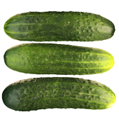 4k cucumbers short-fruited prickly