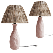 Diy Terracotta Lamp With Raffia Lampshade