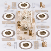 TableWare Set 04 - Crockery and Glass for Table Setting