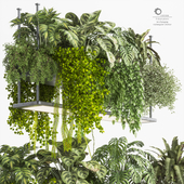 Indoor Plants In A Hanging Rectangular Planter Set 01