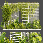 Collection plant vol 379 - Urban environment - wall yard - leaf - bush - ivy