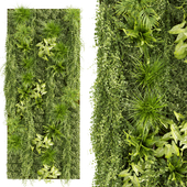 Collection plant vol 386 - fitowall - ertical - leaf - palm - grass - fern
