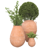 Indoor Plants in Clay pots _ set 100