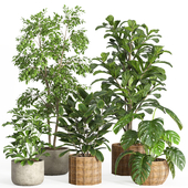 indoor plant set 33-concrete and rattan