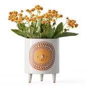 Sunshine ceramic tripod planter by Atelier Stella with Kalanchoe