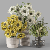 Sunflower Bouquet Collection Plants  - Set 1049