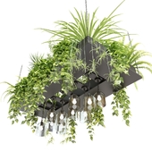 Plants in a rectangular hanging planter with pendant lights
