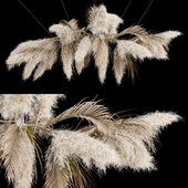 Ceiling pampas 03