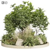 Collection plant vol 395 - outdoor - garden