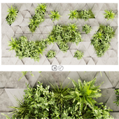 Collection plant vol 396