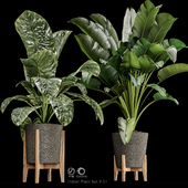Indoor plant set-v01