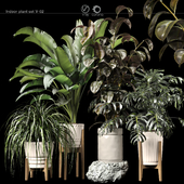 Indoor plant set v-02
