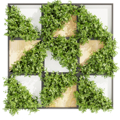 Collection plant vol 405 - fitowall - ertical - leaf - bush
