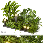 Collection plant vol 406 - leaf - outdoor - garden