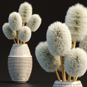 Fluffy plants in pot vol 153