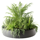 Indoor plants in a round planter
