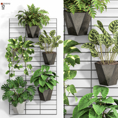 Indoor Plants in Metal Stand Set 01