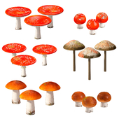Mushrooms Mushrooms Set