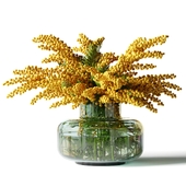 Mimosa in a low glass vase
