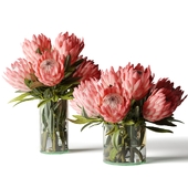 Two bouquets of proteas in glass vases
