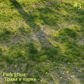 Трава в парке / Park Grass #3