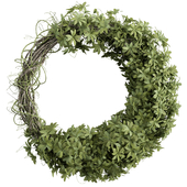 Wreath Set 12 - Box Leaf