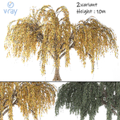 Willow Tree 01