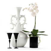 White orchid with vase
