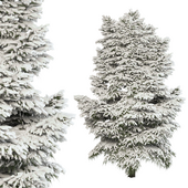 Tree - Snow - No.14