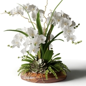 Orchids in a wooden pot