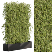 Vertical Garden - Wall Decor 73