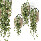 Indoor Hanging Plants in Handmade Pot - Set 1294