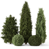 Outdoor Plants Bush -Bush Set 1301