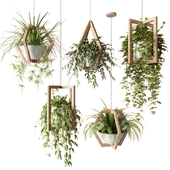 Ampelous plants in wooden figured hanging pots