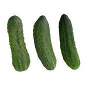 3 cucumbers