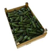 Cucumber box