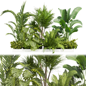 Collection plant vol 436 - indoor - garden - leaf