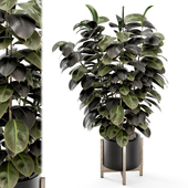 Indoor Plants in Ferm Living Bau Pot Large - Set 1330