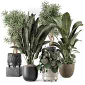 Indoor Plants in rusty Concrete Pot - Set 1332