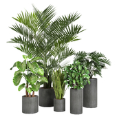 treez_plants_set1