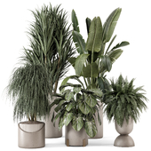 Indoor Plants in rusty Concrete Pot - Set 1341