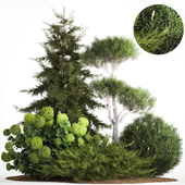 Garden of spruce, pine, topiary, green hydrangea bush, flowers, juniper, alpine hill. Plant set 1186