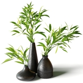 Ветки с зелеными листьями в черных вазах на стол, на окно