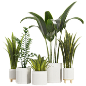 Indoor Plant Set V1